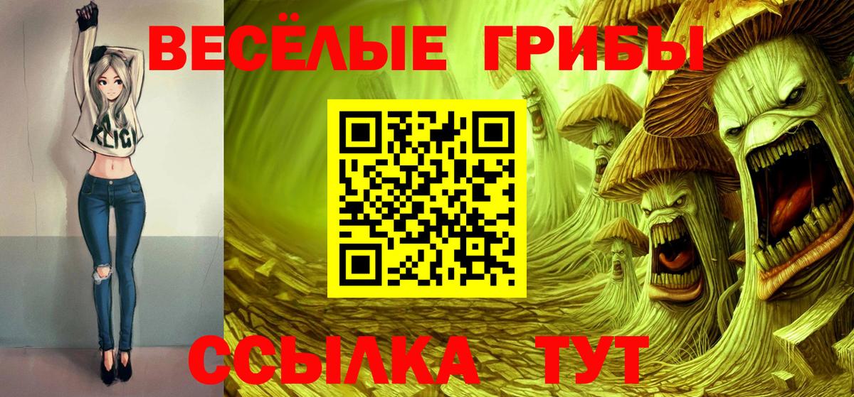 Псилоцибиновые грибы Psilocybine cubensis Гатчина