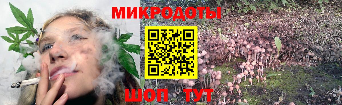 Псилоцибиновые грибы Magic Shrooms  Псилоцибиновые грибы Cubensis  Вход с VPN  Гатчина 
